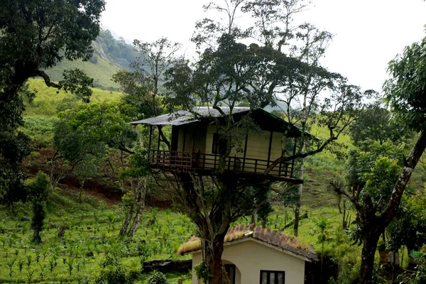 País Índia Estado Kerala City Munnar Date 2021 Vista Casa — Fotografia de Stock