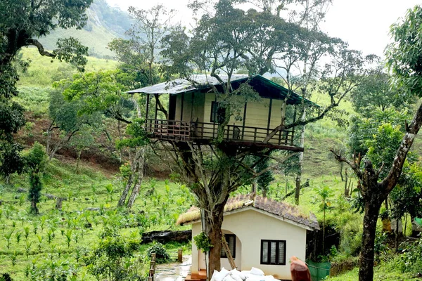 País India Estado Kerala Cita Munnar Fecha 2021 Vista Casa — Foto de Stock
