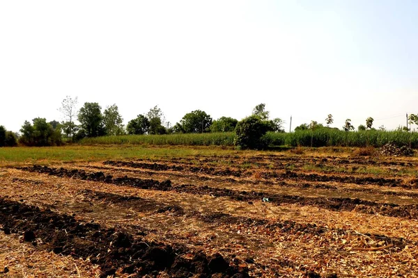 Vista Fazenda Agrícola Índia — Fotografia de Stock