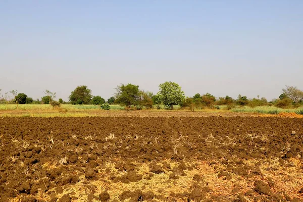 Vista Fazenda Agrícola Índia — Fotografia de Stock