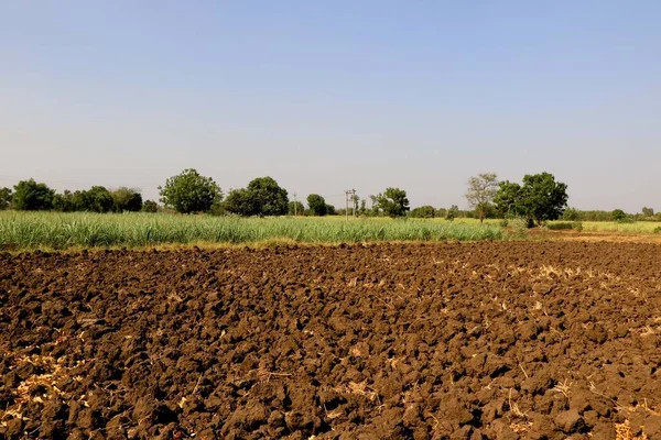 Vedere Fermei Agricole Din India — Fotografie, imagine de stoc