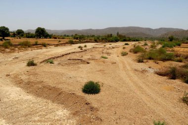Hindistan 'daki kurak nehir manzarası doğanın ve dağın arka planına sahip.