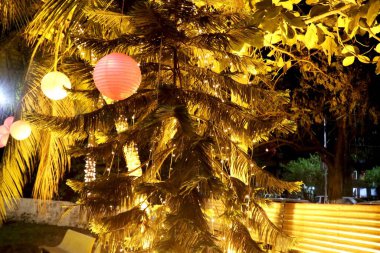 Ağaç görüntüsü ışıkla dekore edilir