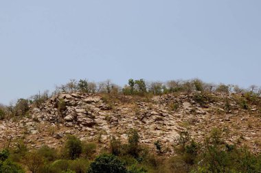 Büyük taşlı küçük bir tepe.