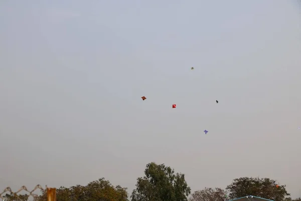 Drachenfliegen Bei Blauem Himmel Drachenflugtag Indien — Stockfoto