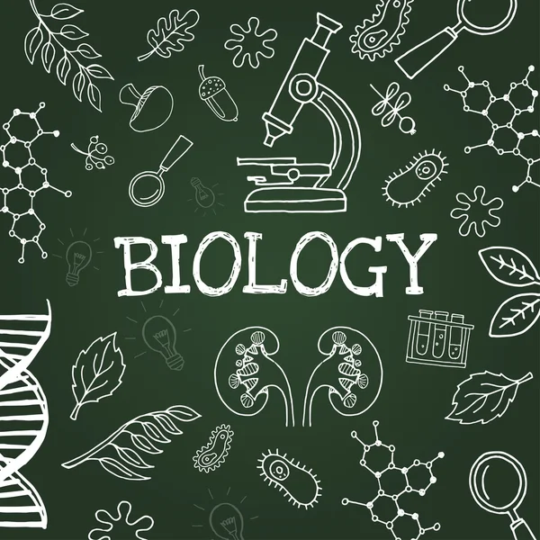 Tiza dibujo biología símbolos en pizarra — Archivo Imágenes Vectoriales