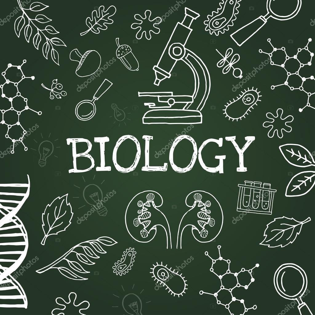 depositphotos_123762460 stock illustration chalk drawing biology symbols on