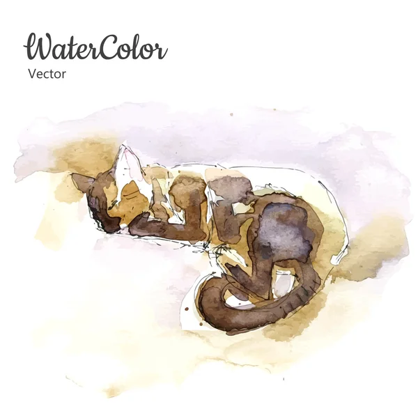 Vetor mão pintura abstrata aquarela dormindo gato —  Vetores de Stock