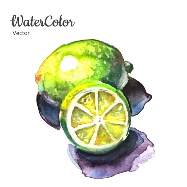 Vector hand painting abstract watercolor lemon illustration — Stock Vector