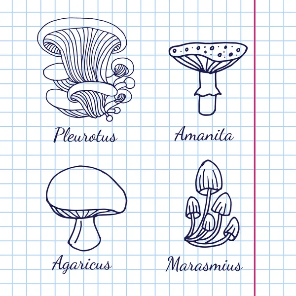 버섯의 종류 — 스톡 벡터