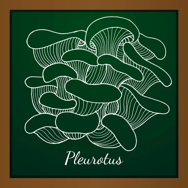 Plato de hongos Pleurotus — Vector de stock