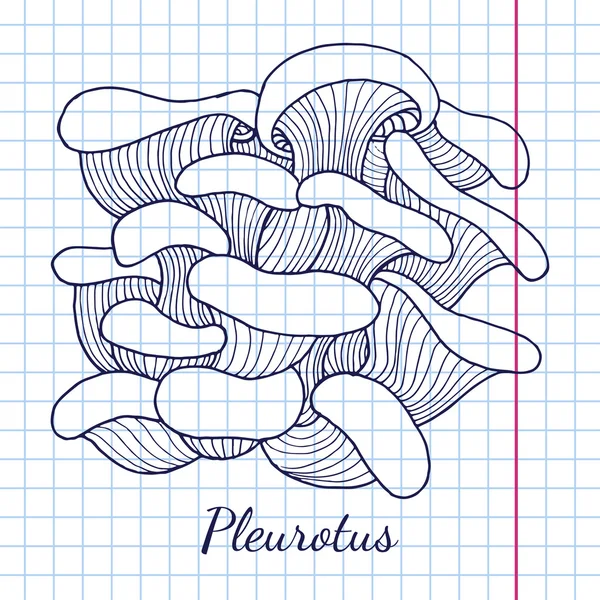 Plato de hongos Pleurotus — Vector de stock