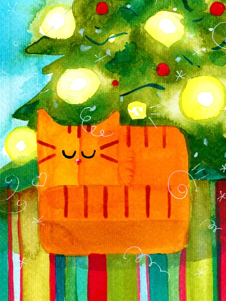 Різдвяні зима кішка — стокове фото