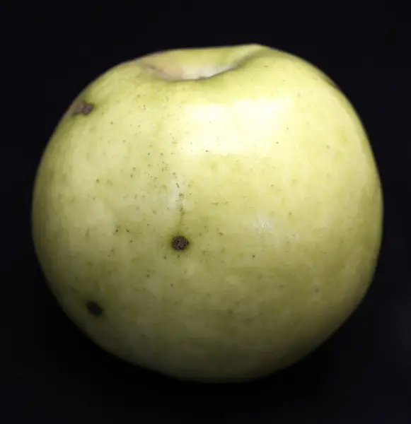 Manzana verde aislada sobre fondo negro — Foto de Stock