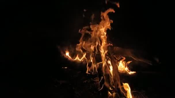 Piquenique noite fogo — Vídeo de Stock