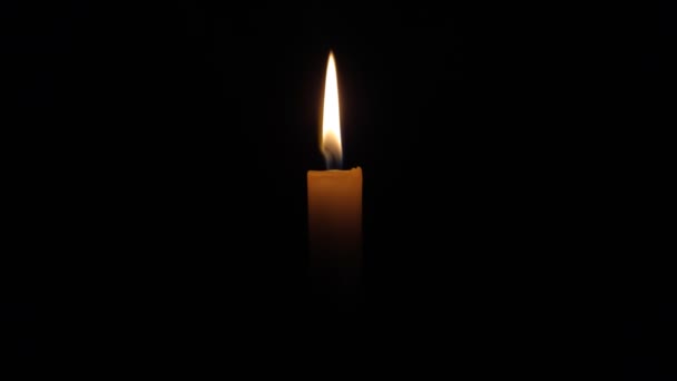Крупный План Одиночное Пламя Свечи Изолировано Черном Фоне Видео — стоковое видео
