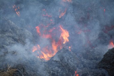 tarım felaketi, buğday tarlası yangını...