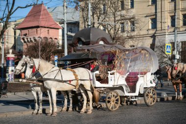 LVIV, UKRAINE - 27 Aralık 2020: insanlar Ukrayna 'daki Lviv kentinin merkez caddesi ve meydanı boyunca yürüyorlar, kış zamanı