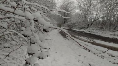 Kırsal yol kış arka planı
