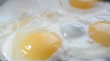 Yakın çırpılmış yumurta.