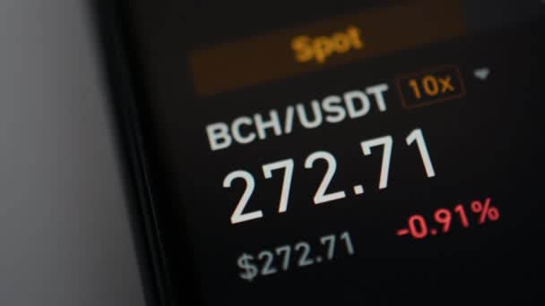 Bitcoin Cash harga USDT hari ini — Stok Video