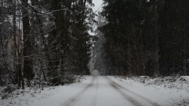 Droga zimowa leśna — Wideo stockowe