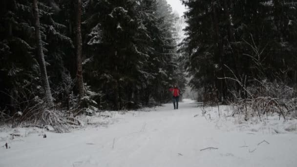 Mężczyzna w czerwonej kurtce spaceruje przez zimowy las z telefonem i próbuje znaleźć miejsce w lesie, gdzie jest dobre przyjęcie. — Wideo stockowe