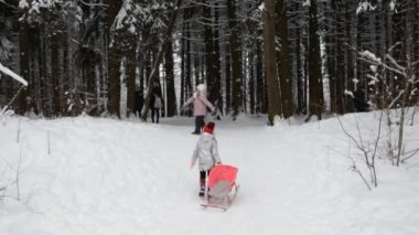 Kışın kızak çeken iki kız kardeş.