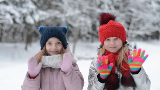 Deux petites sœurs portrait en hiver gesticuler avec les mains au revoir — Video