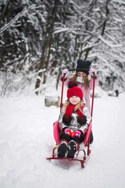 Dos Hermosas Hermanas Niñas Están Jugando Parque Invierno —  Fotos de Stock