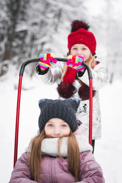 2人の美しい小さな女の子が冬の公園で遊んでいます — ストック写真