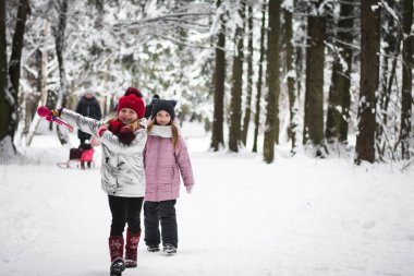 İki güzel kız kardeş kış parkında oynuyorlar.