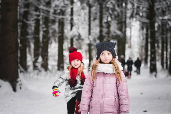 Due Belle Sorelle Bambine Stanno Giocando Nel Parco Invernale — Foto Stock