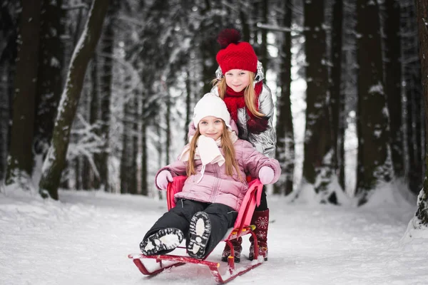 Dos Hermosas Hermanas Niñas Están Jugando Parque Invierno —  Fotos de Stock