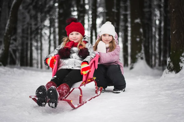 2人の美しい小さな女の子が冬の公園で遊んでいます — ストック写真