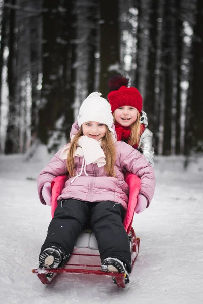 Twee Mooie Kleine Meisjes Zusjes Spelen Het Winterpark — Stockfoto