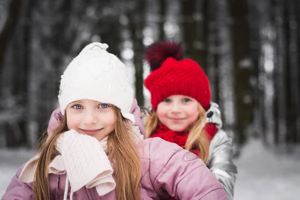 Duas Belas Meninas Irmãs Estão Jogando Parque Inverno — Fotografia de Stock
