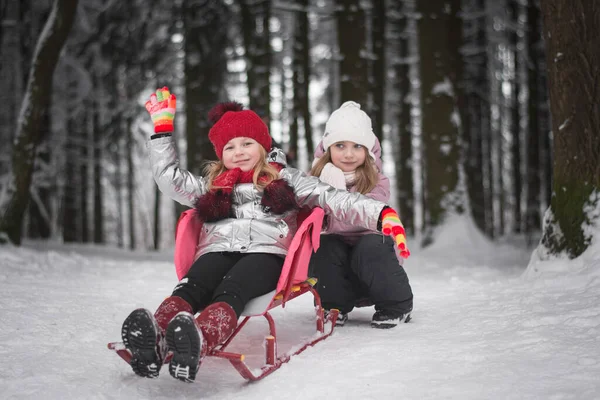 Zwei Hübsche Kleine Mädchen Spielen Winterpark lizenzfreie Stockbilder