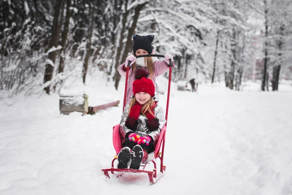 Duas Meninas Brincando Floresta Inverno — Fotografia de Stock