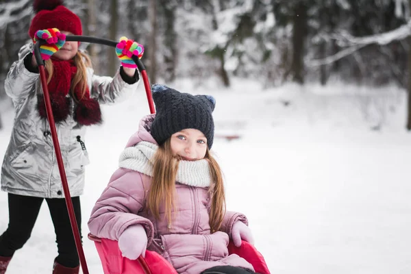 Duas Meninas Brincando Floresta Inverno — Fotografia de Stock