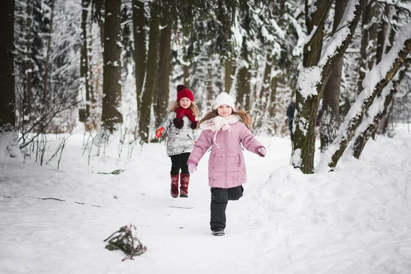 Zwei Kleine Mädchen Spielen Winterwald Stockfoto