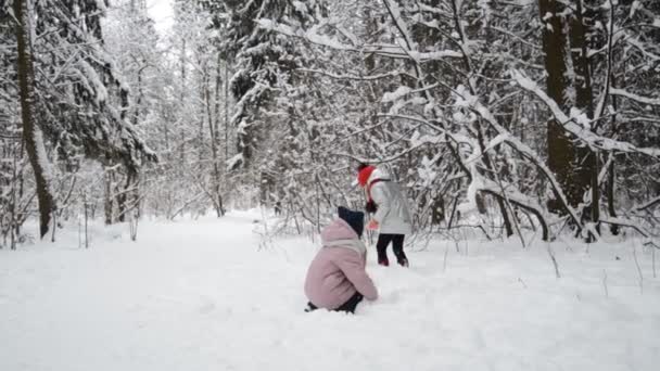 Dos niñas felices jugando con la nieve — Vídeo de stock