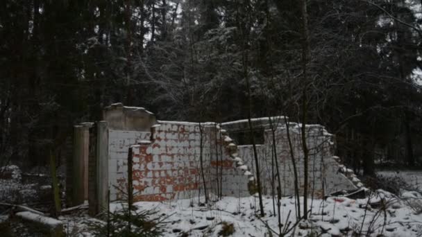 Ruínas de um edifício de tijolo em uma floresta — Vídeo de Stock