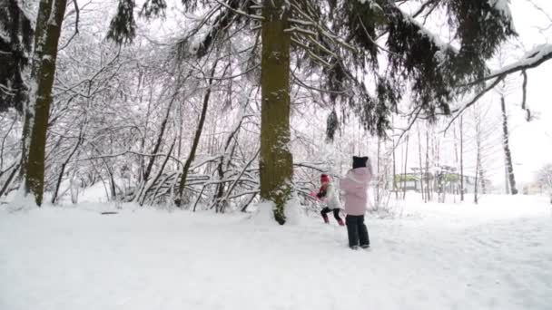 Dwie małe szczęśliwe dziewczyny grają w śnieżki zimą — Wideo stockowe