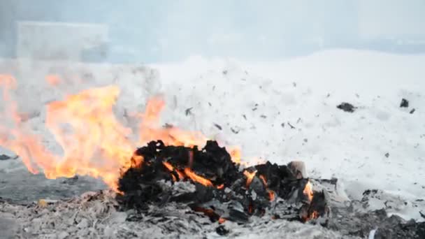 Arderea gunoiului din plastic — Videoclip de stoc