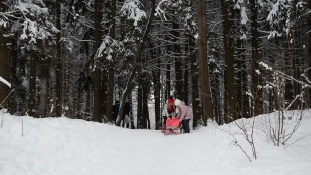 Two little girls girlfriends in winter sledding — Stock Video
