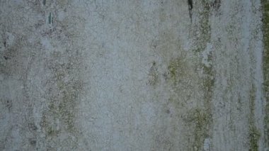 Ahşap duvarın dokusu ve arka planı ve eski boya.