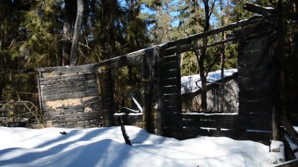 Egy faház maradványai az erdőben egy erős tűz után. — Stock videók