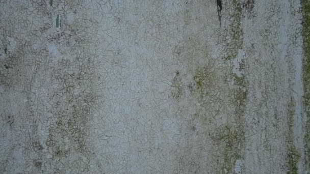 Textura e fundo de parede de madeira e pintura antiga — Vídeo de Stock