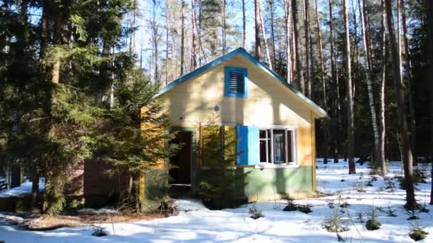 Έννοια της αποκάλυψης ή παγκόσμια καταστροφή, εγκαταλελειμμένο ξύλινο σπίτι στο δάσος — Αρχείο Βίντεο